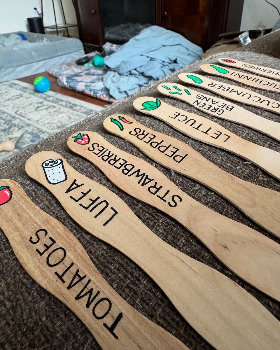 wooden popsicle stick plant labels