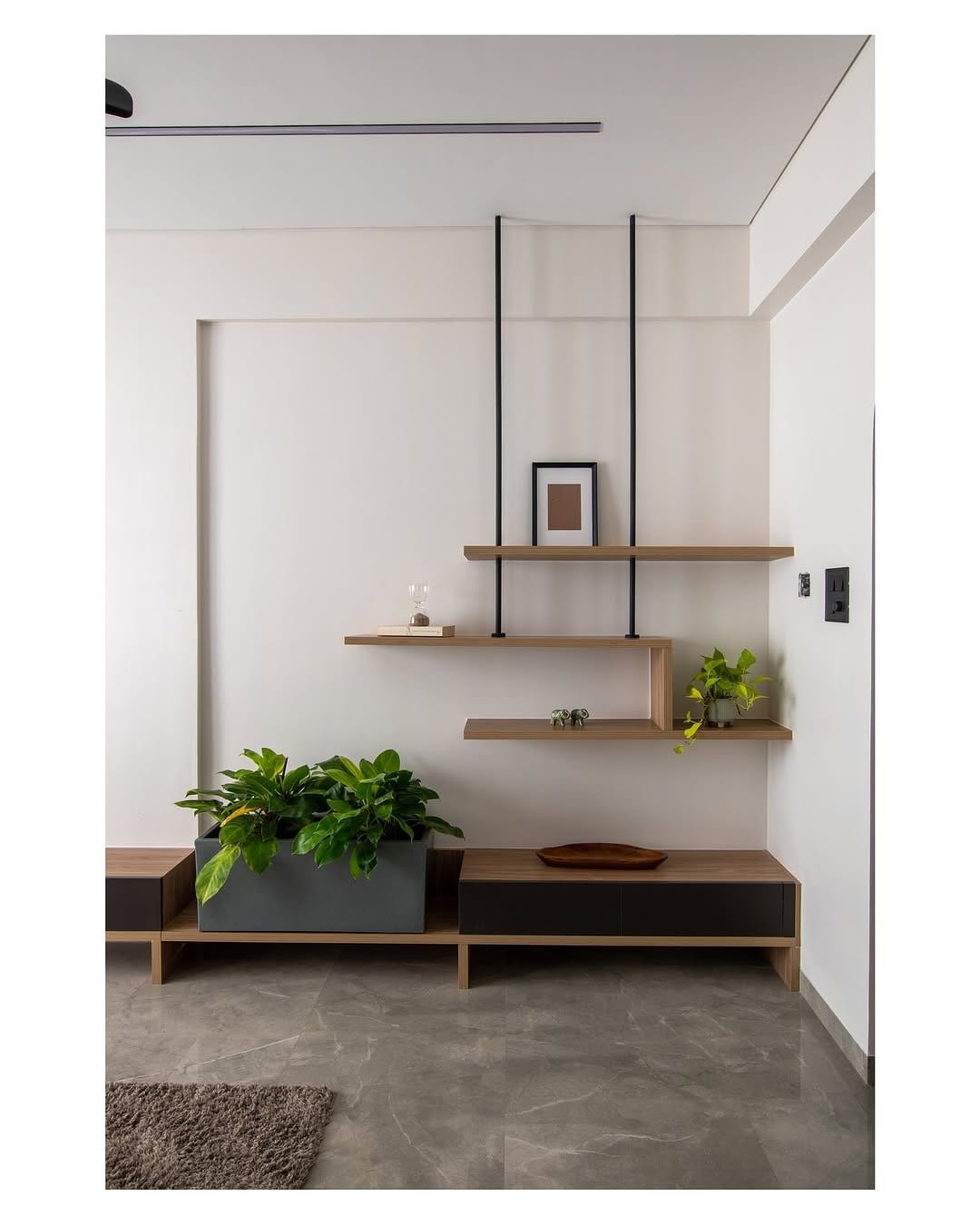 Minimalist propagation station on wooden shelf