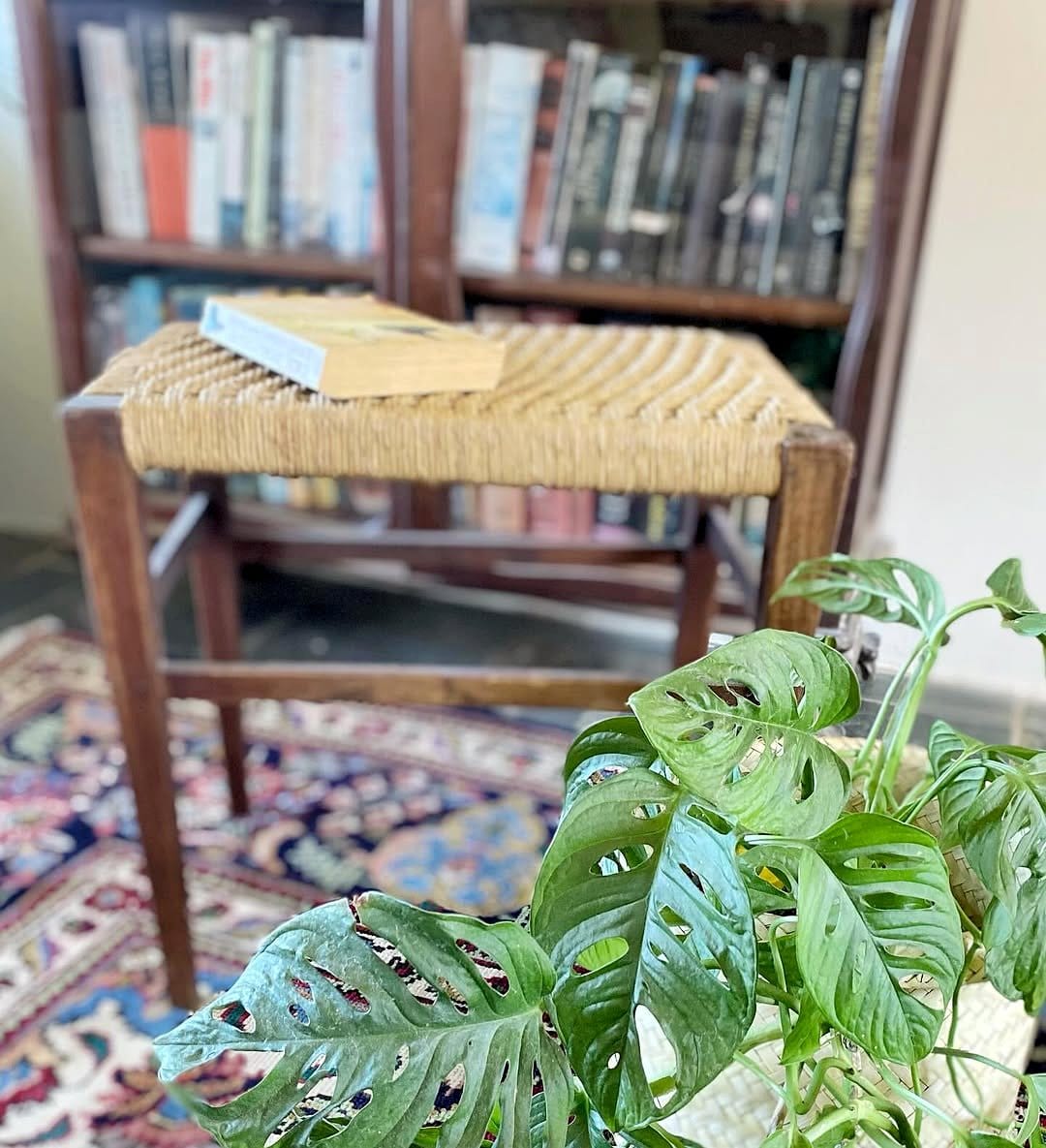 vintage teak plant stand with monstera