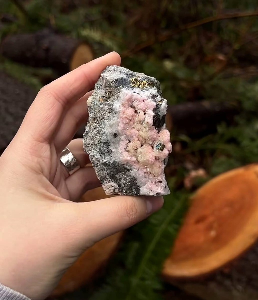Candle holders made from driftwood and lichen