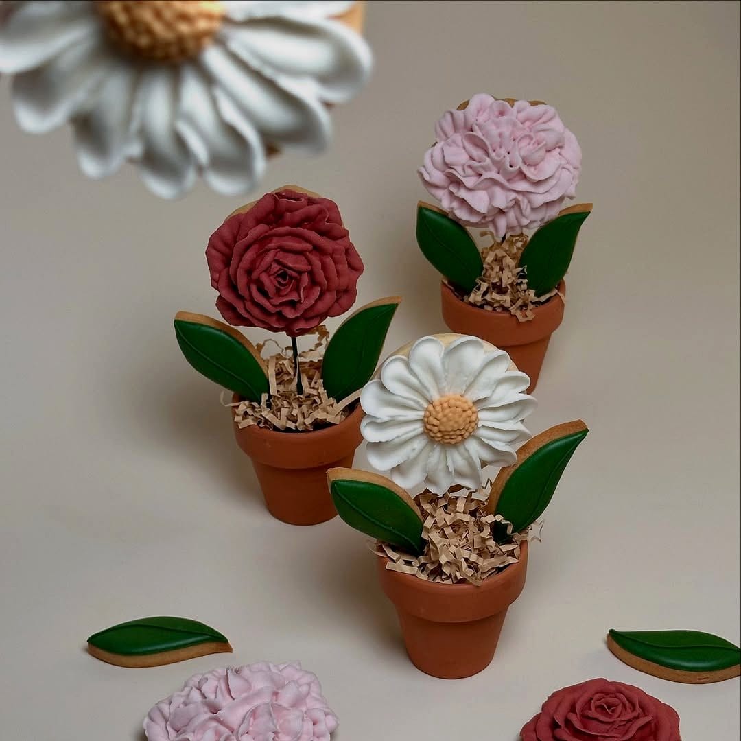 edible flowers in small pots