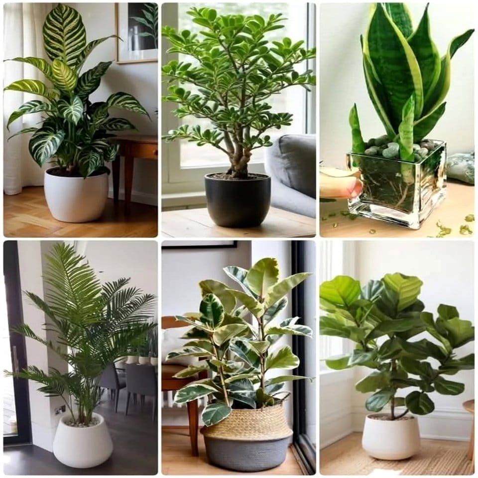 Rhinestone-covered plant watering globe