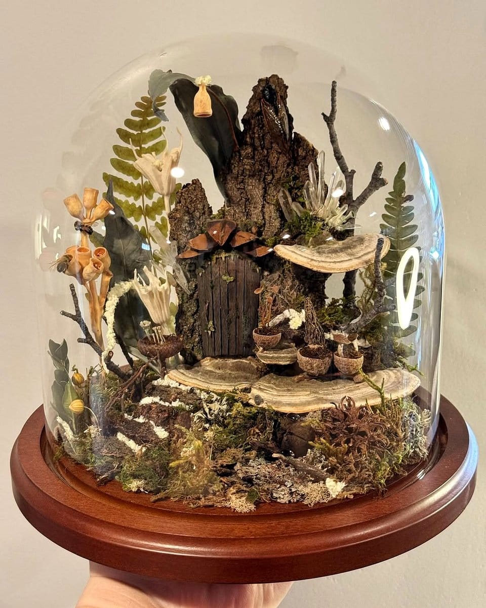 driftwood with a small fairy garden