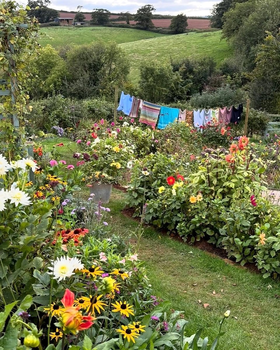 varied plant heights in morning sun
