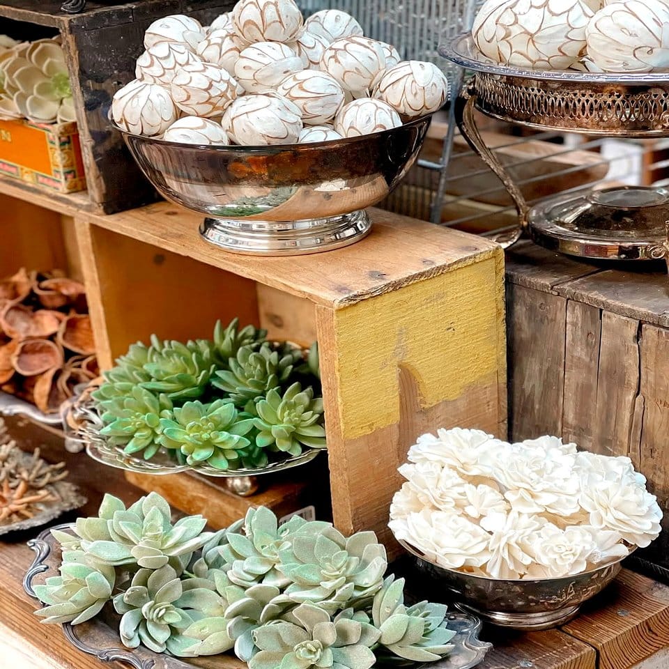 Natural reclaimed wood floating shelves with succulents