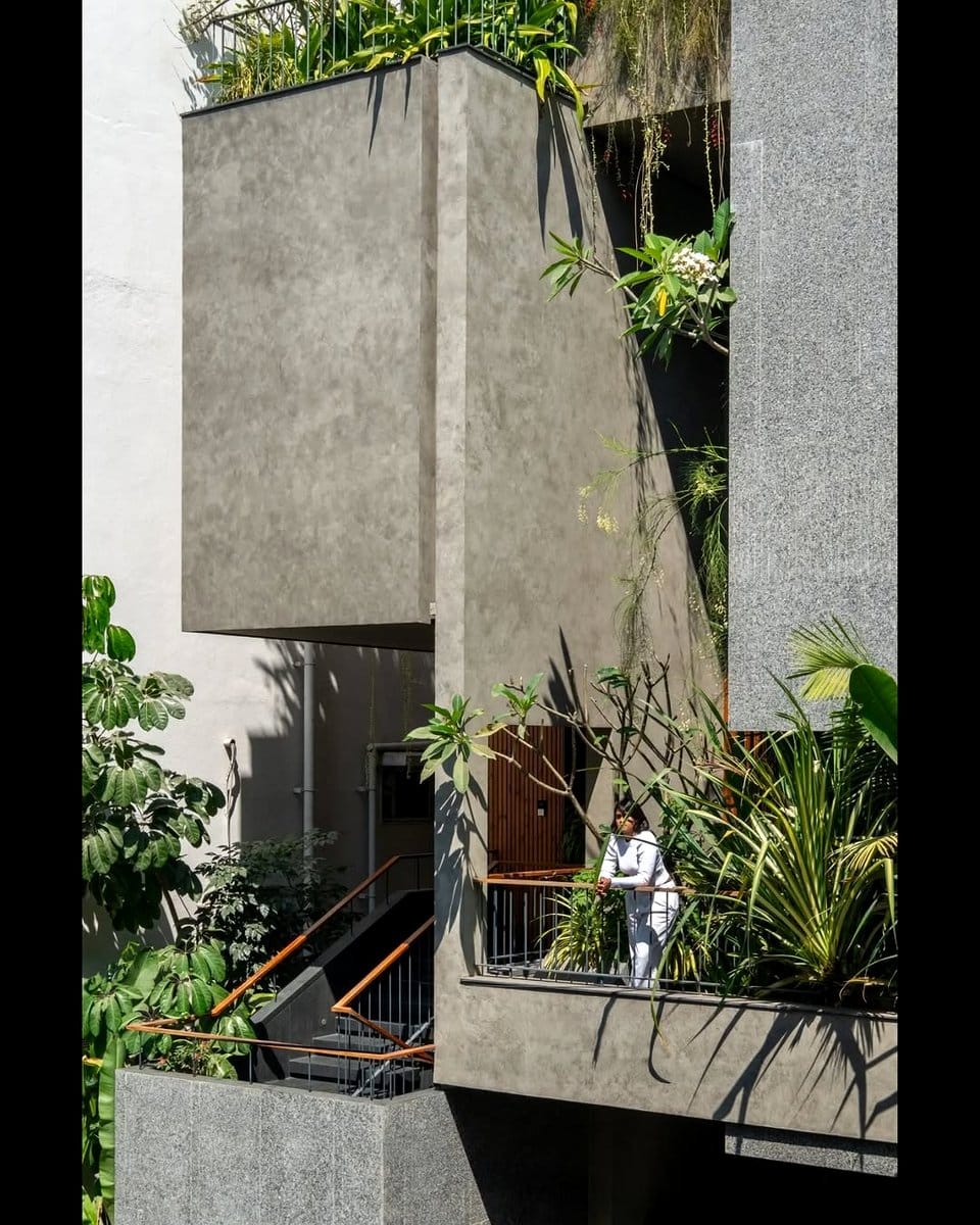 plant shadows on architectural detail