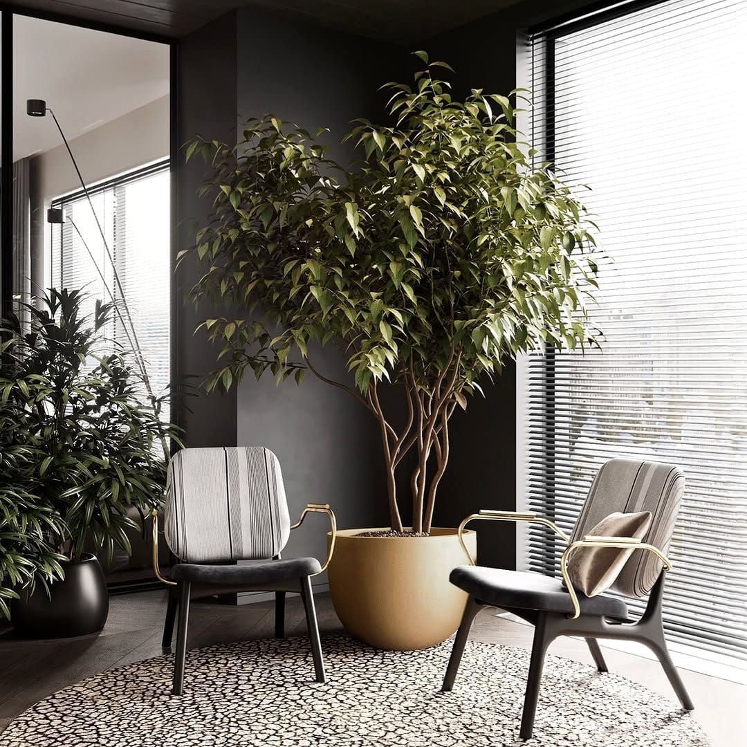 stylish living furniture with embedded plants