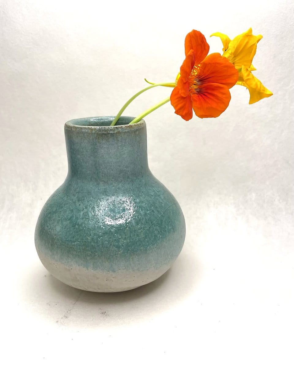 nasturtium in clay pot
