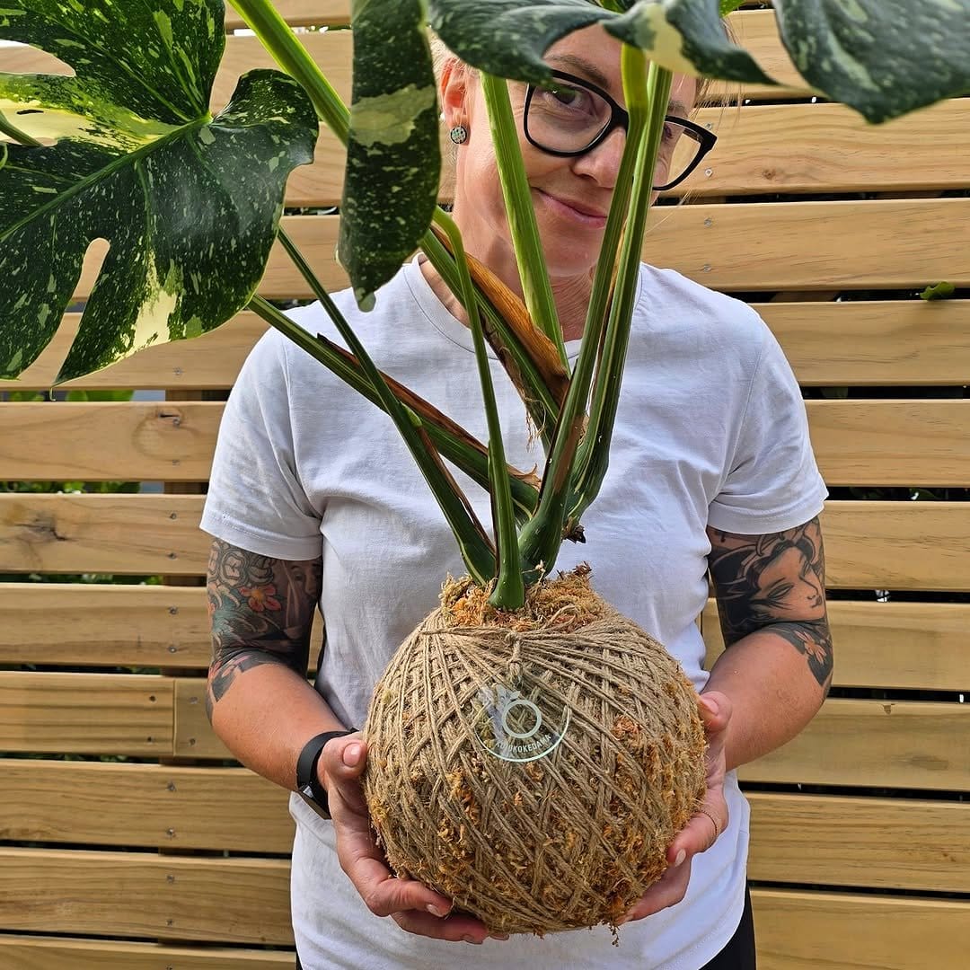themed kokedama group
