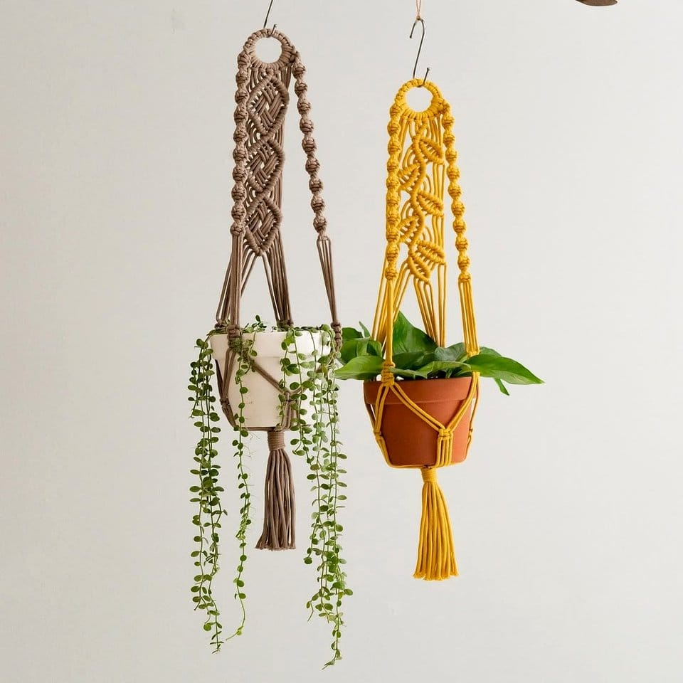 Bohemian macrame hanging planters with trailing plants