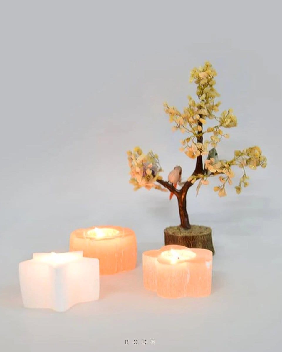 bonsai surrounded by lit candles