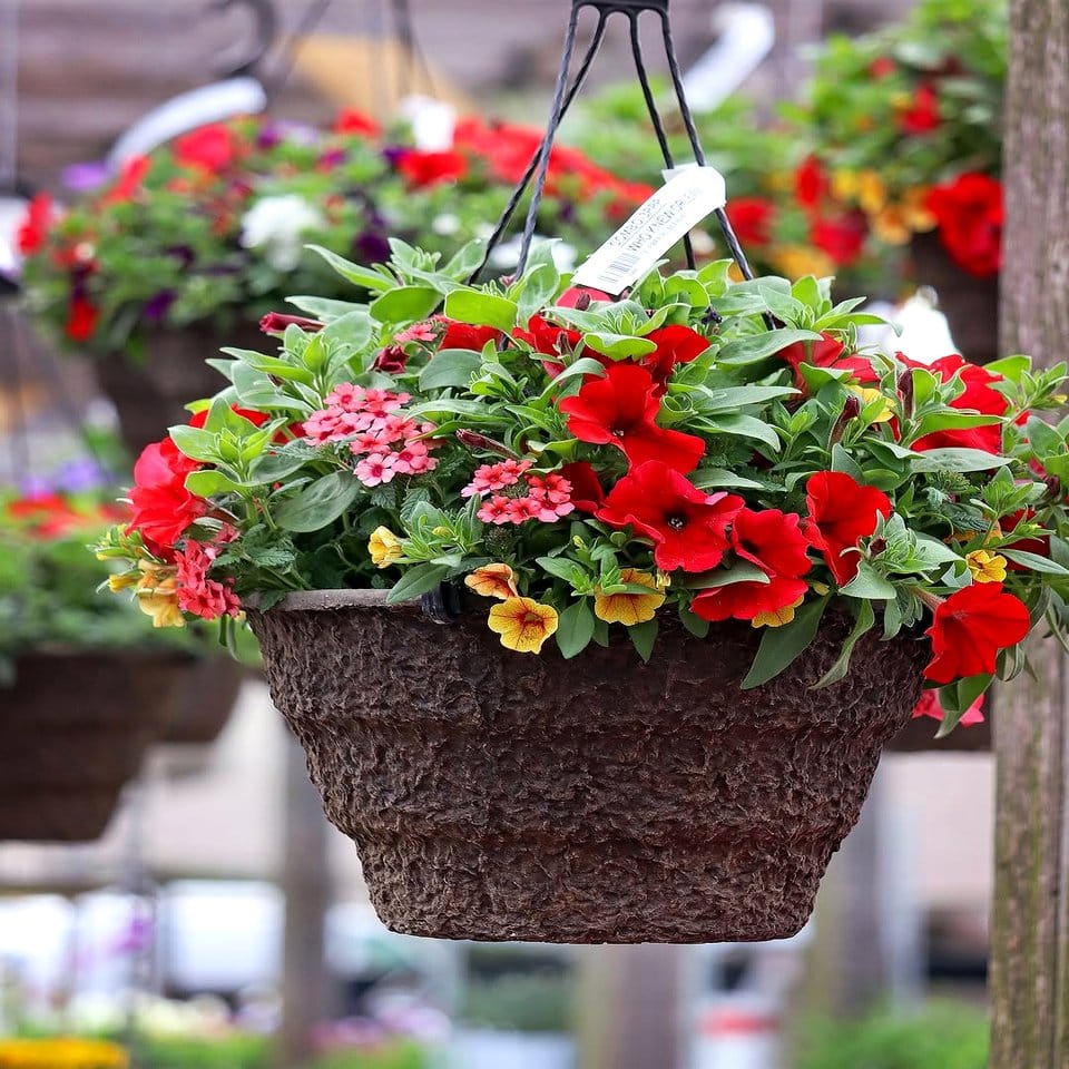 Old barn window frame with hanging pots