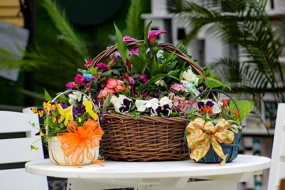 Picnic basket with wild herbs