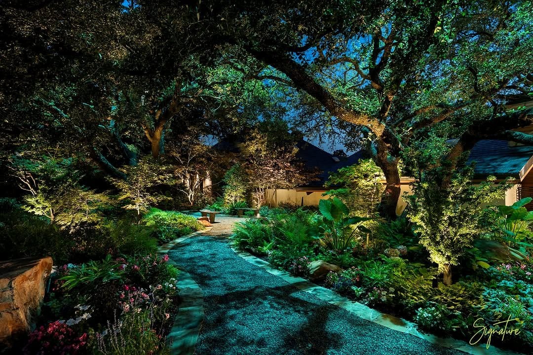 outdoor patio with plant shadows