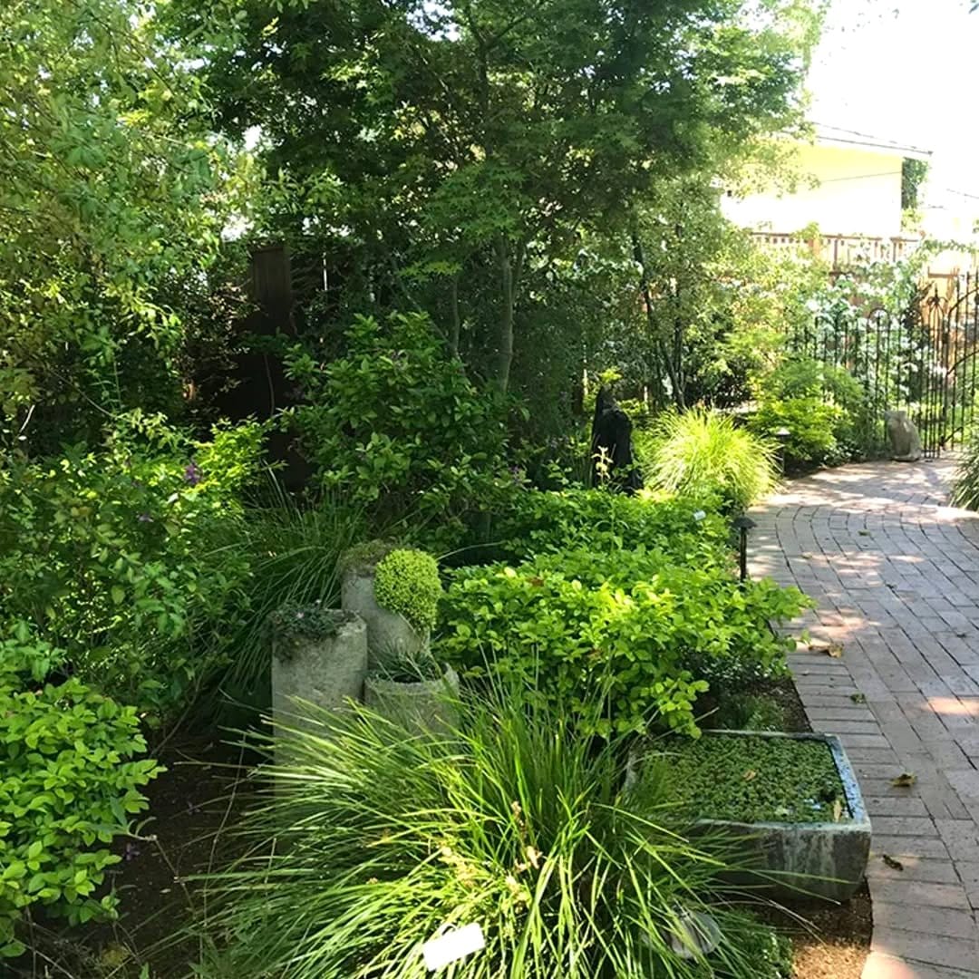 Atmospheric garden path with water lily lights