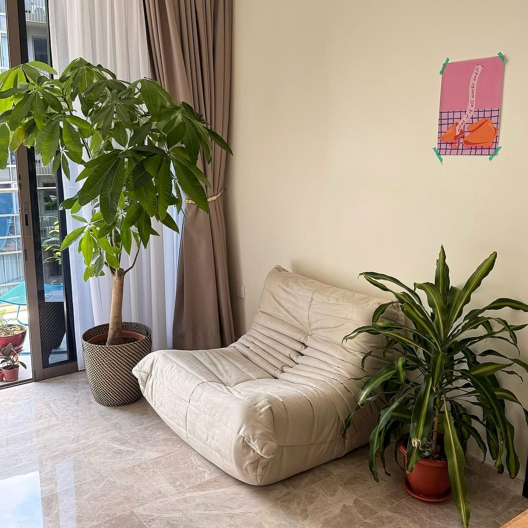Scandinavian cozy plant nook setup