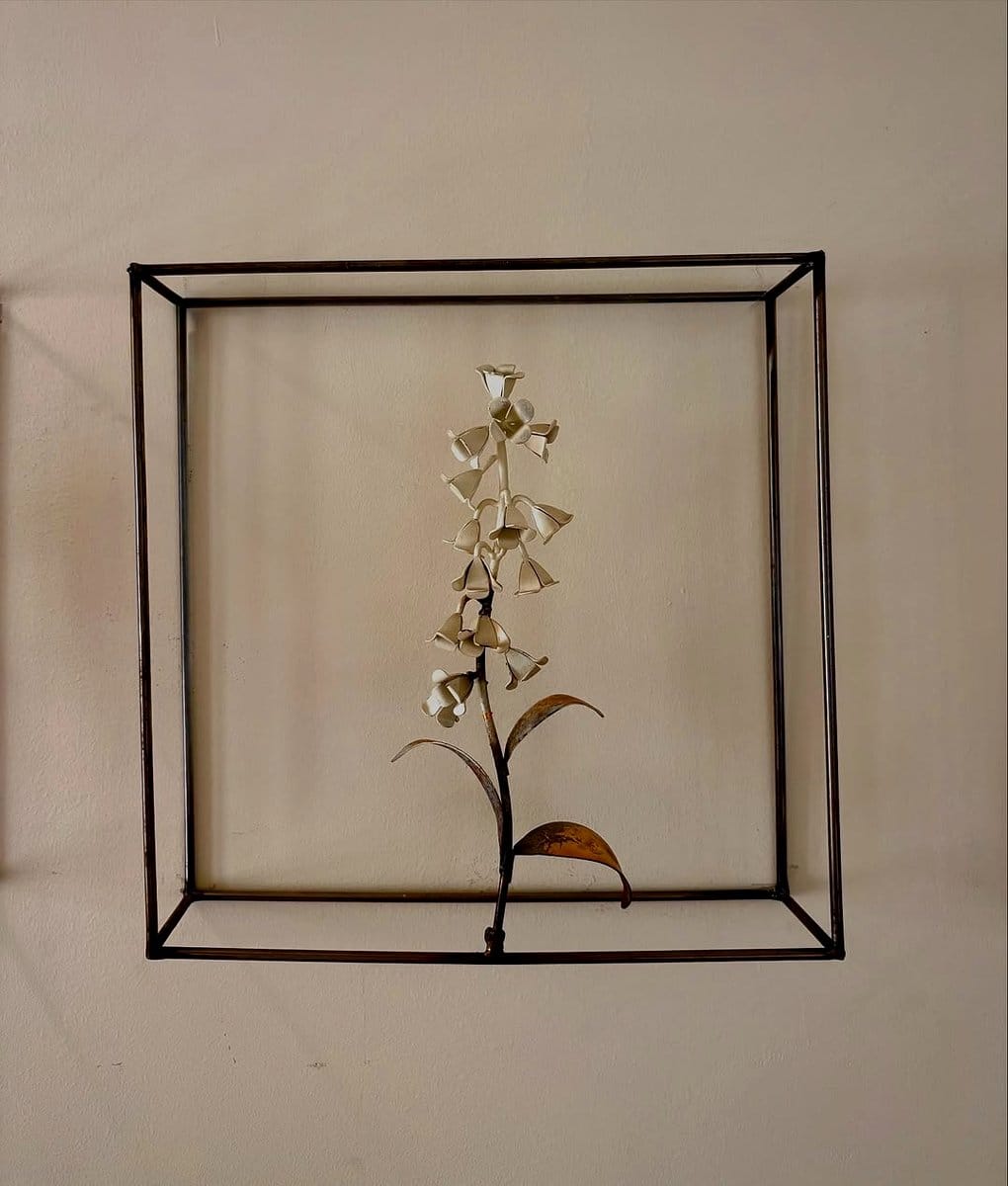 plant cuttings in shadow box frame