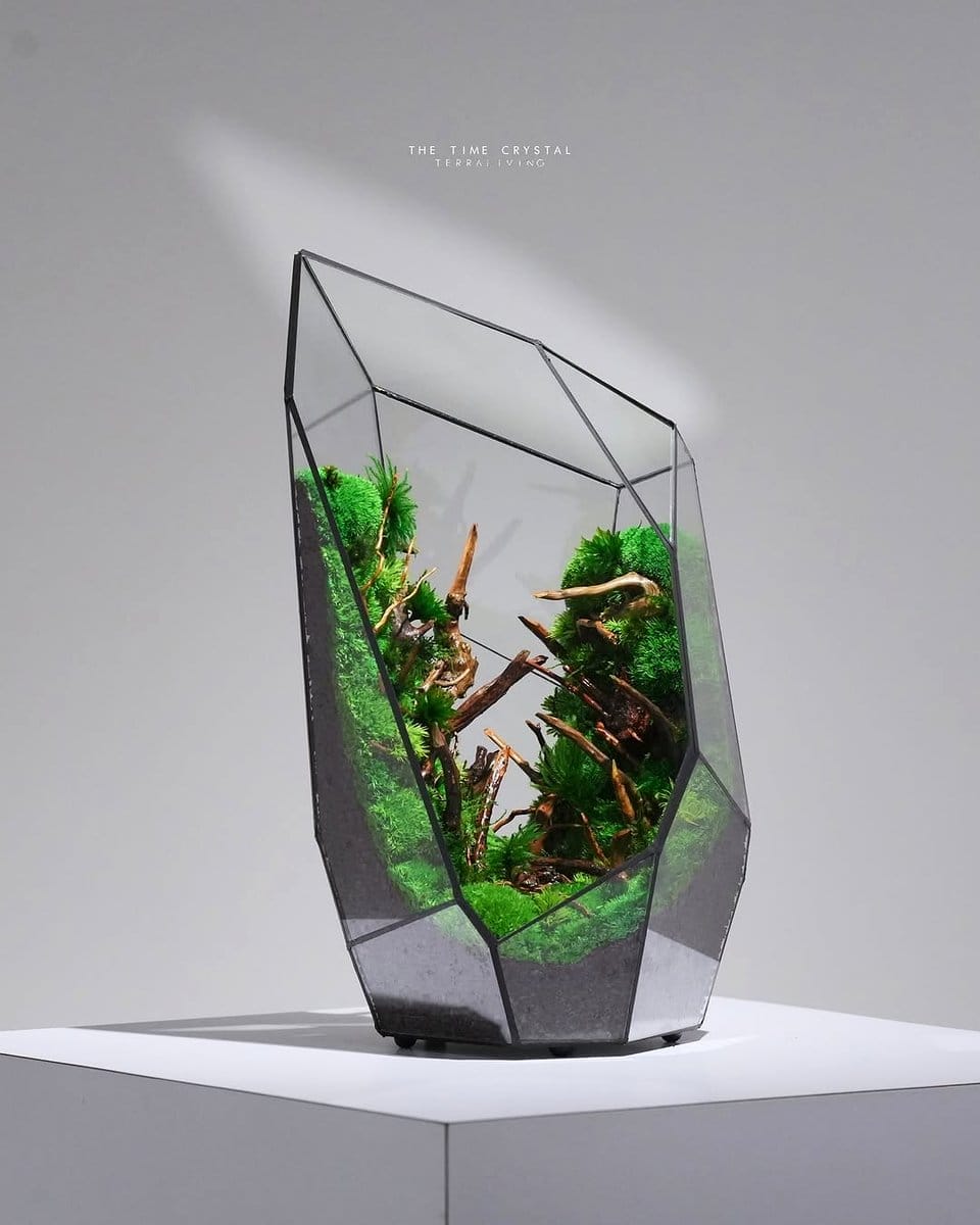 abstract moss sculpture in gallery