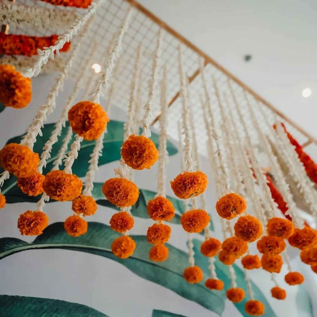 Cactus and rope window garland display