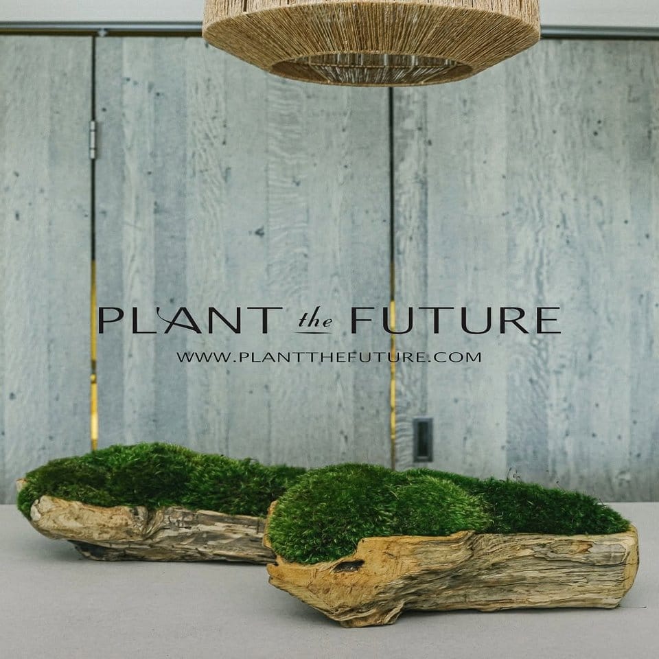Relaxing outdoor seating with glowing moss