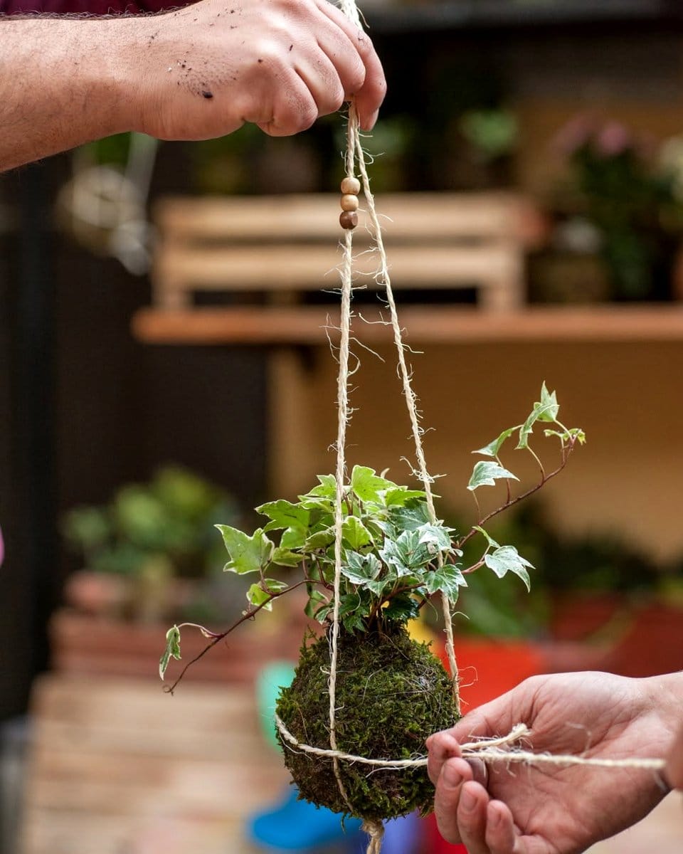 moss-wrapped hanging planters