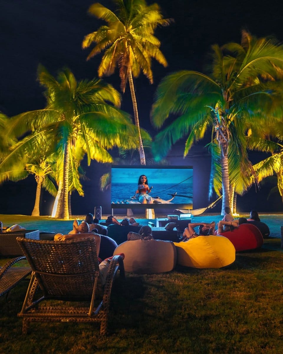 beach palm tree projection
