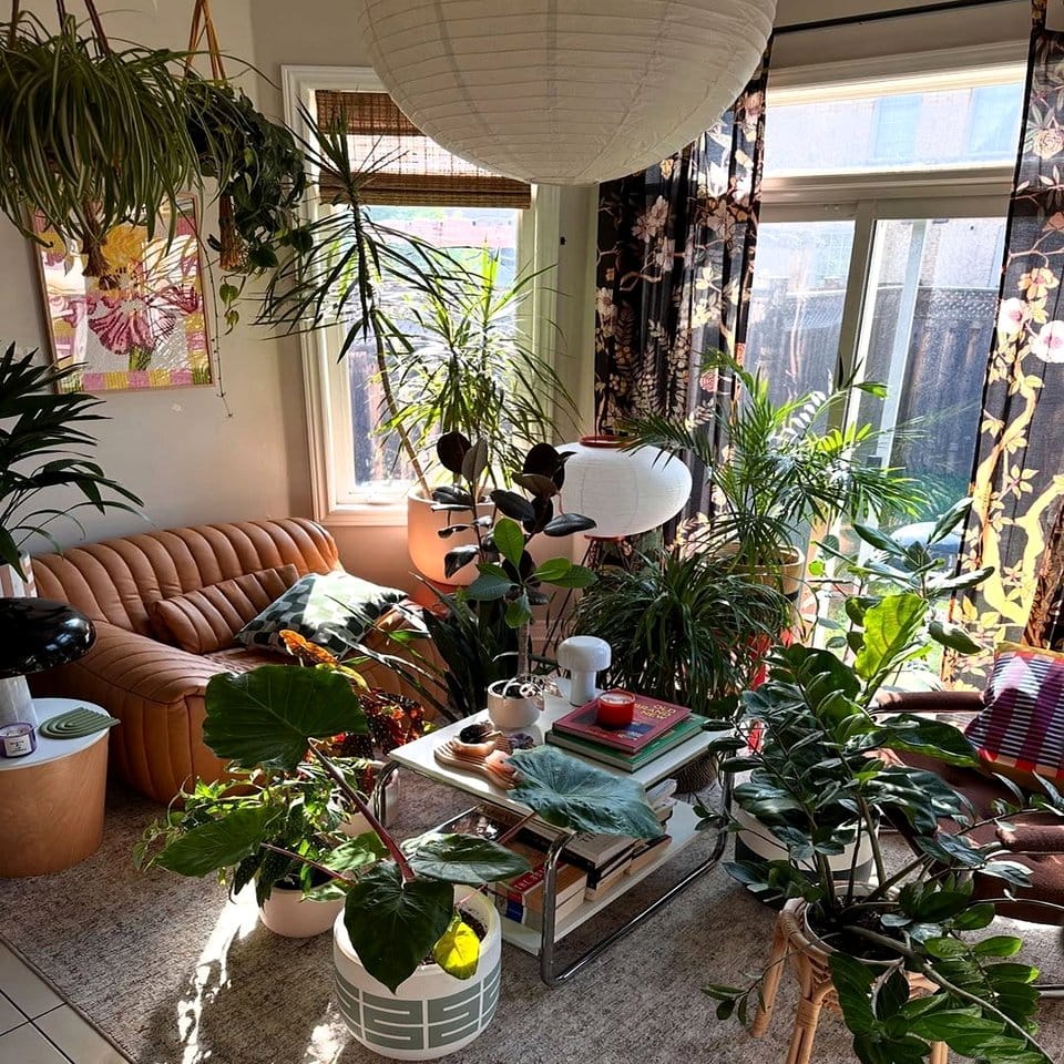 Scandinavian-style room with Ethiopian coffee plants and minimalist decor