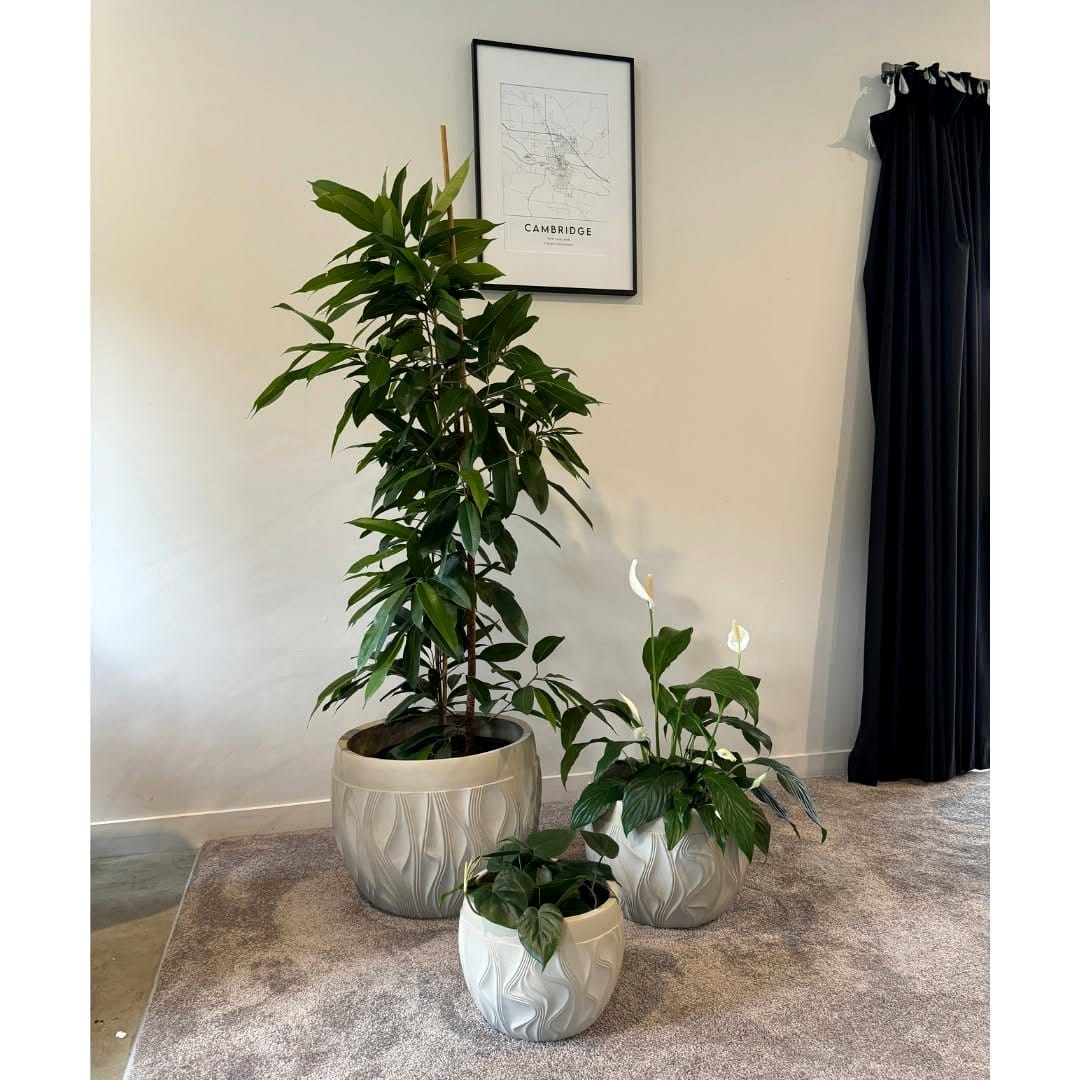 geometric planters in hallway