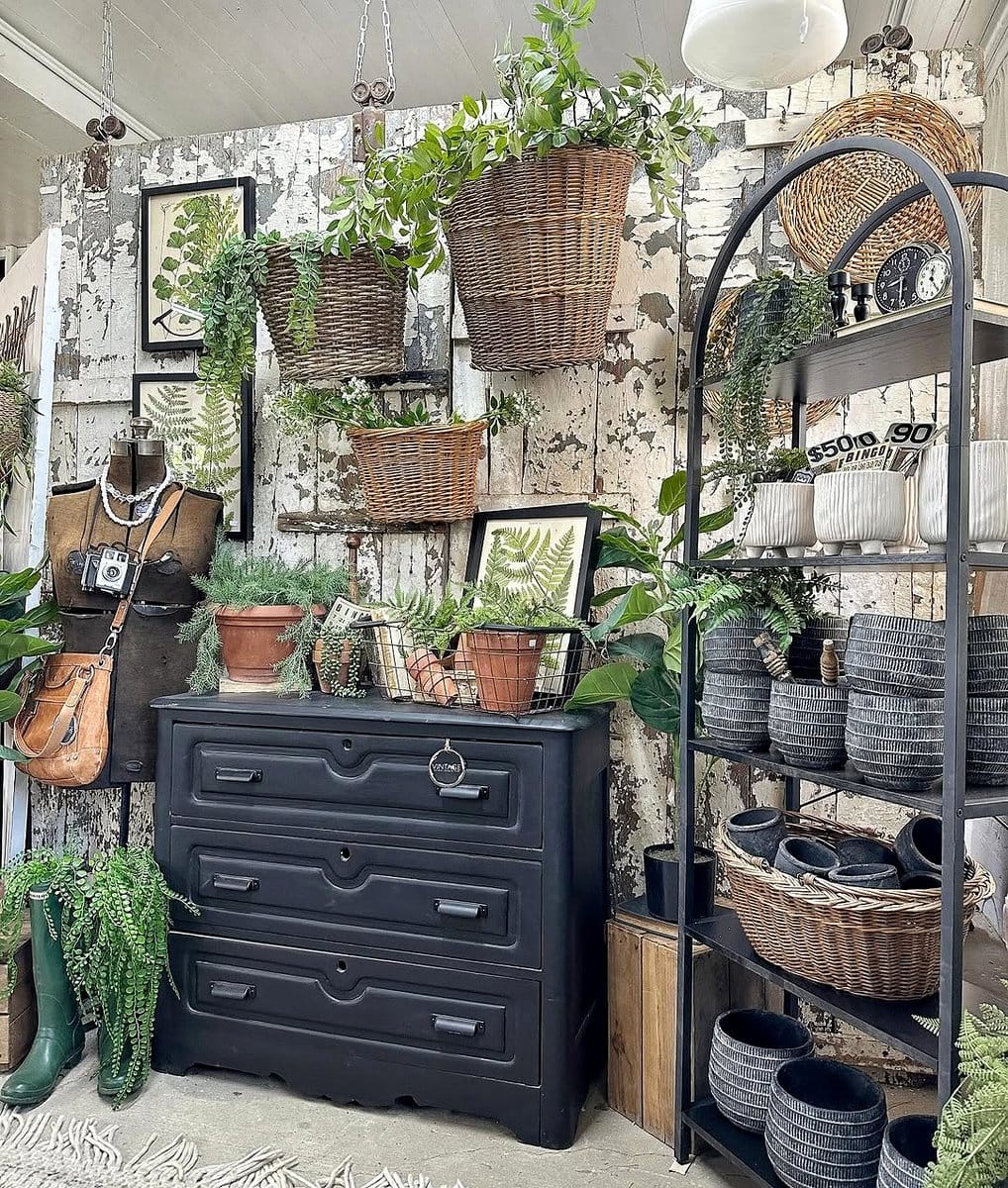 chest of drawers with plants in open drawers