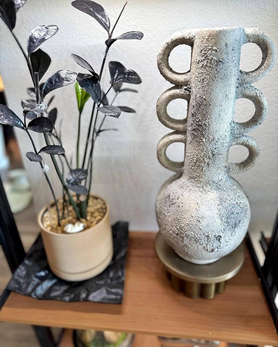 succulents on bookshelf