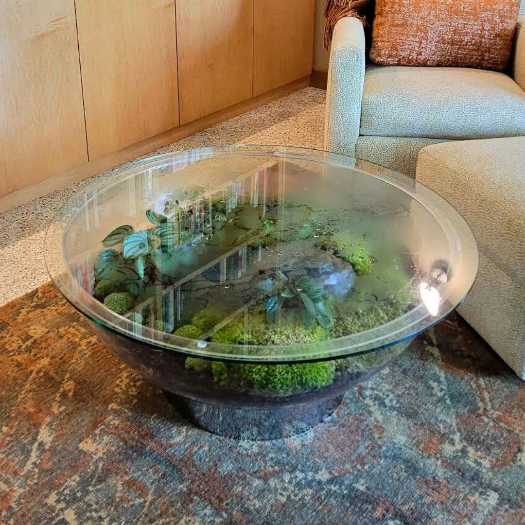 glass coffee table with terrarium