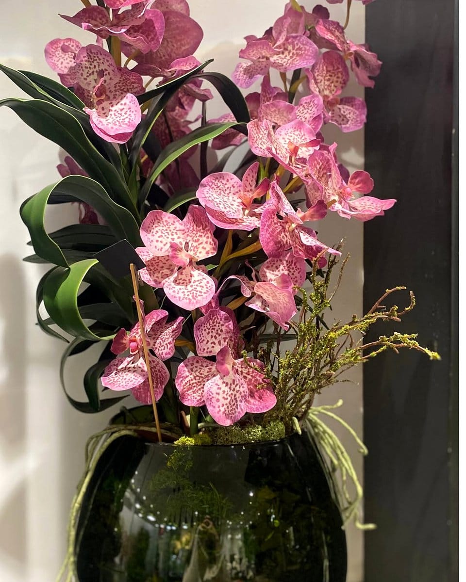 elegant orchid arrangement in vase