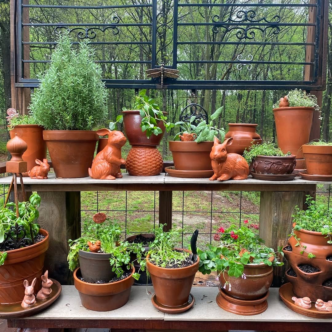 terracotta pots in garden