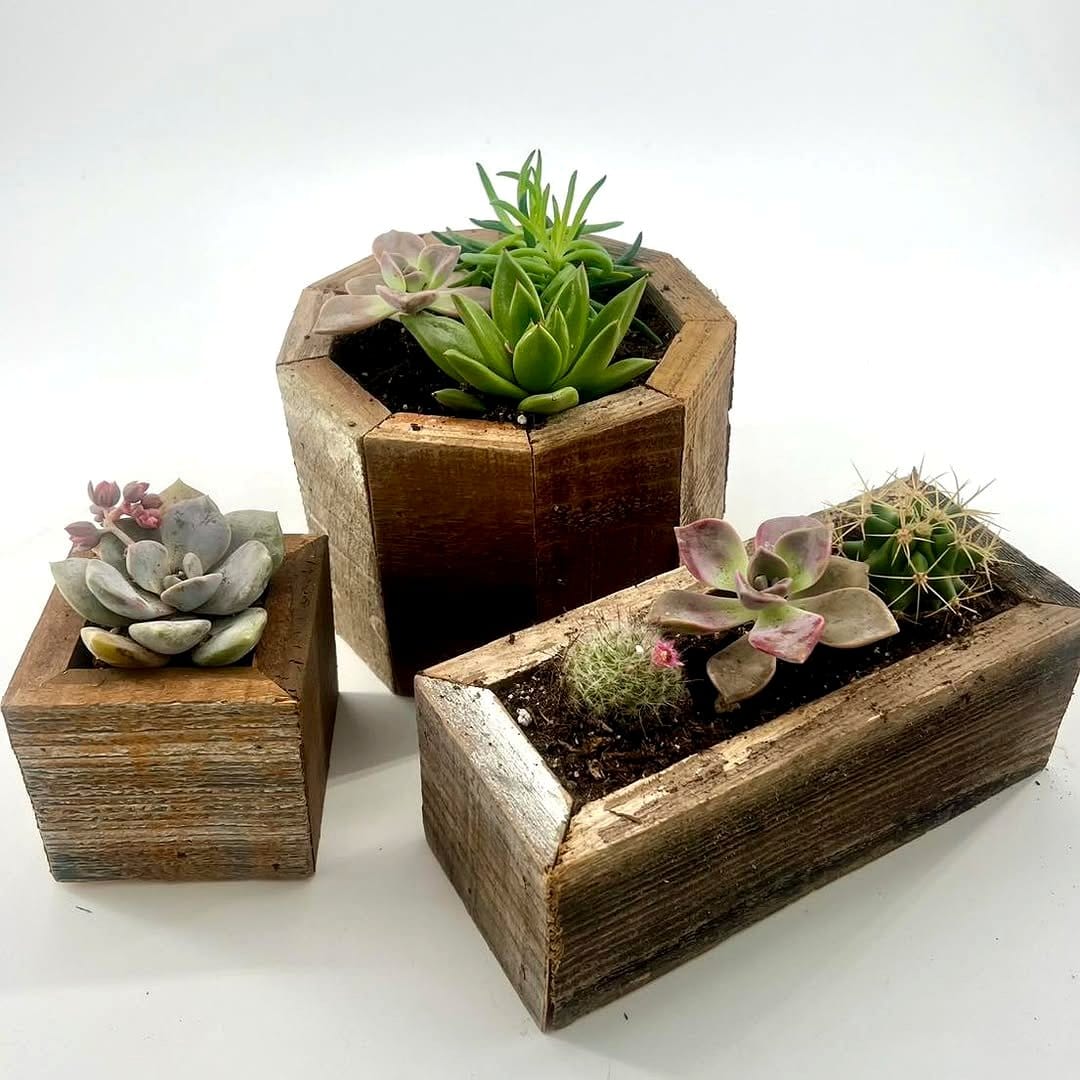 Reclaimed wood tabletop succulent garden box