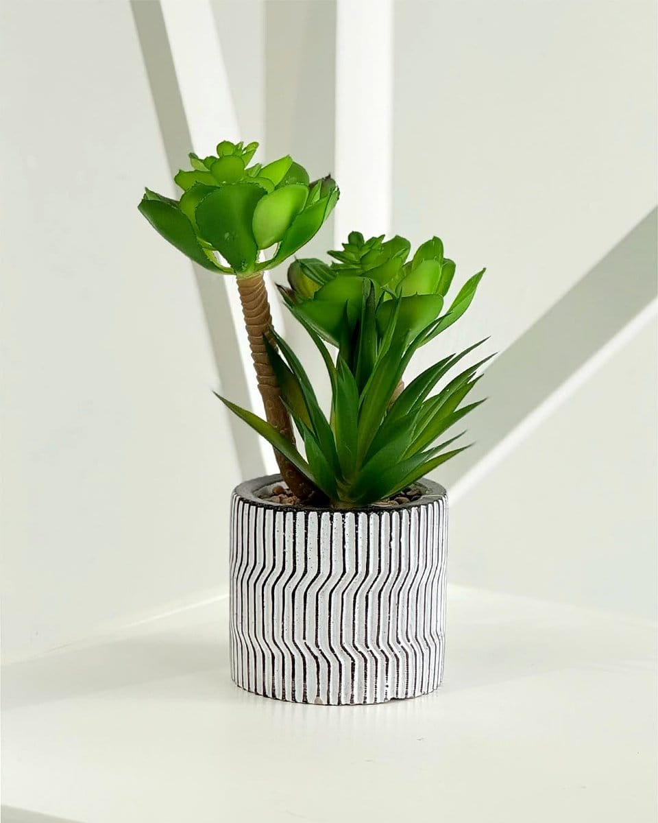 Office desk with marble pot and succulents