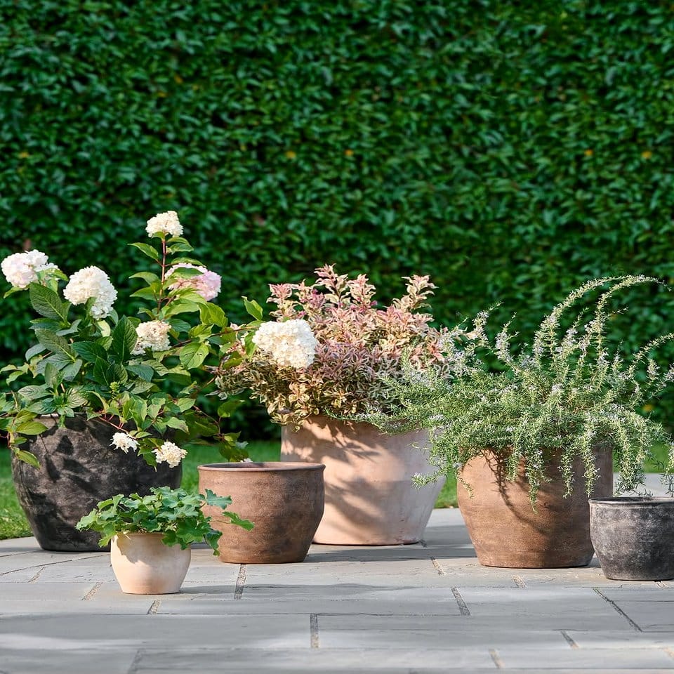 Antique planters against baroque velvet