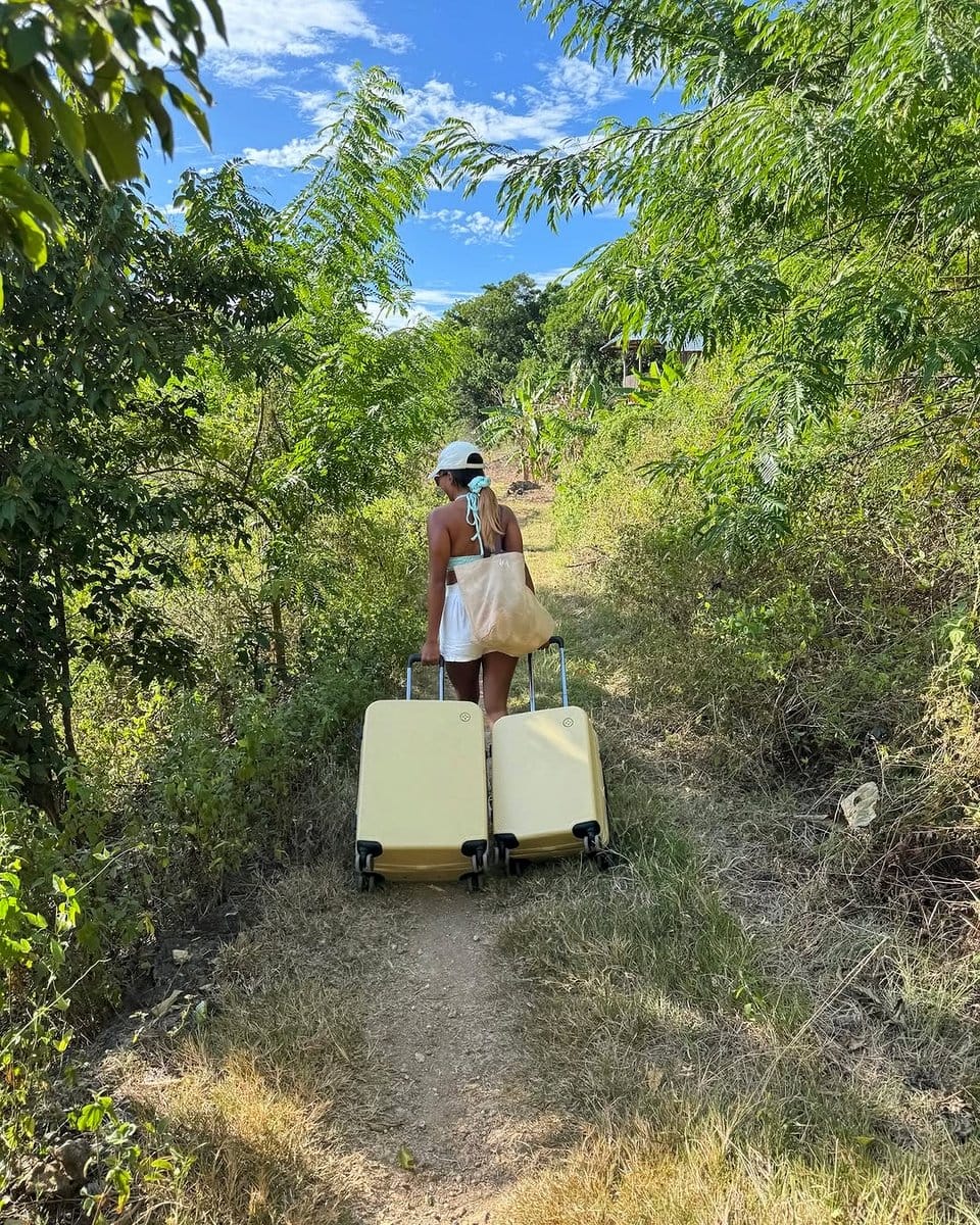 suitcase with wheels and tomato plants