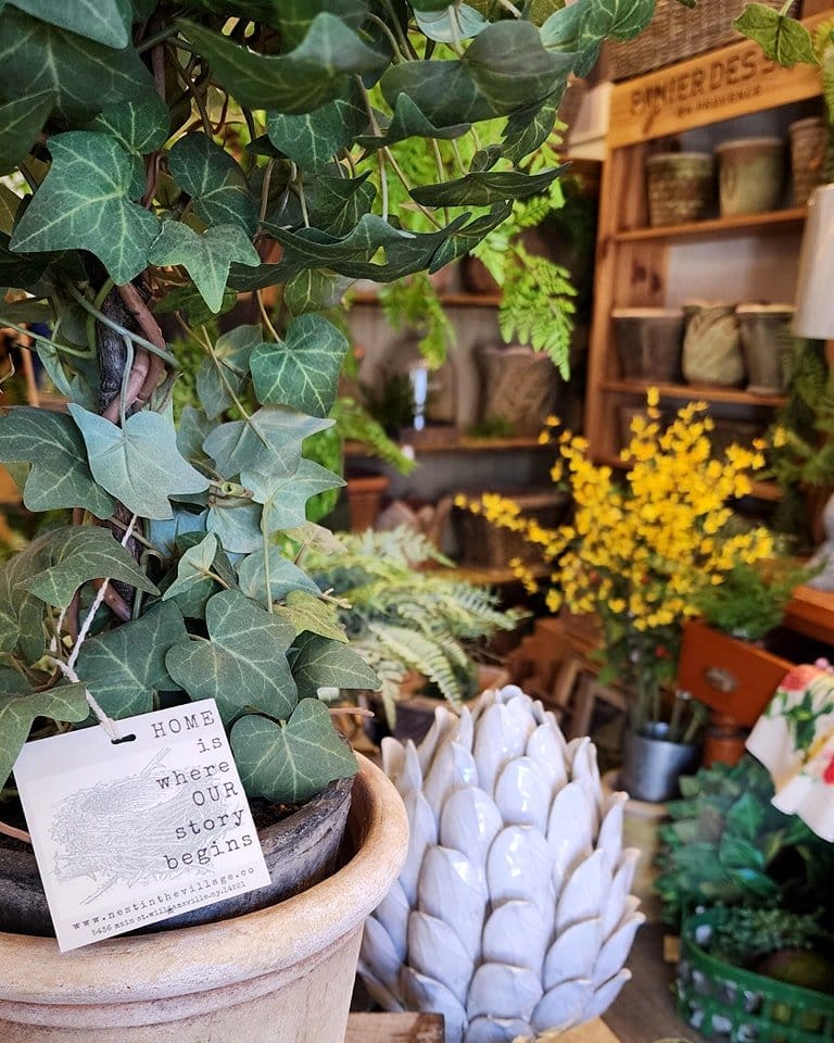 cozy nook with plant display