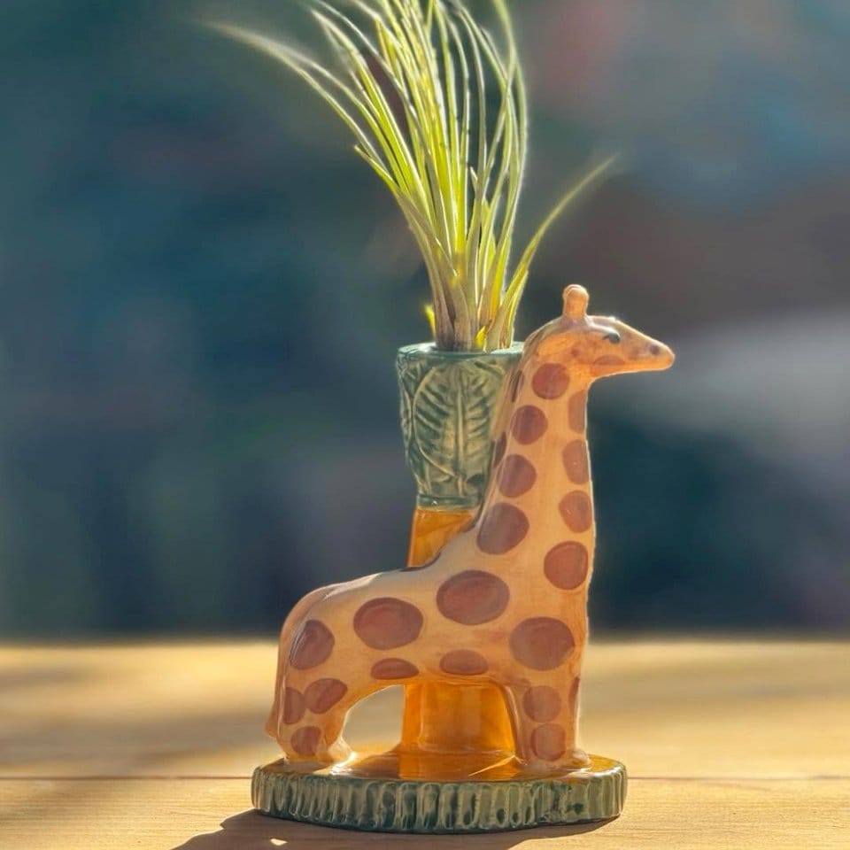 Oceanic-themed candle holder with embedded small plants