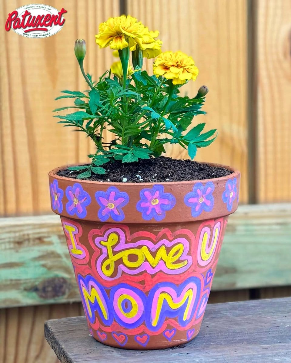 painted clay pot plant labels