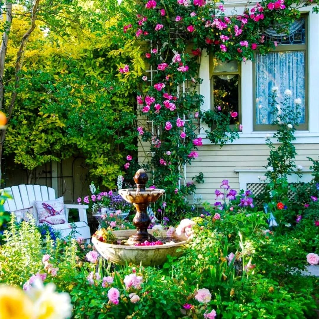 cottage garden flowers in fountain