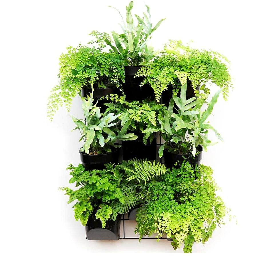 Stacked watering cans forming a vertical garden