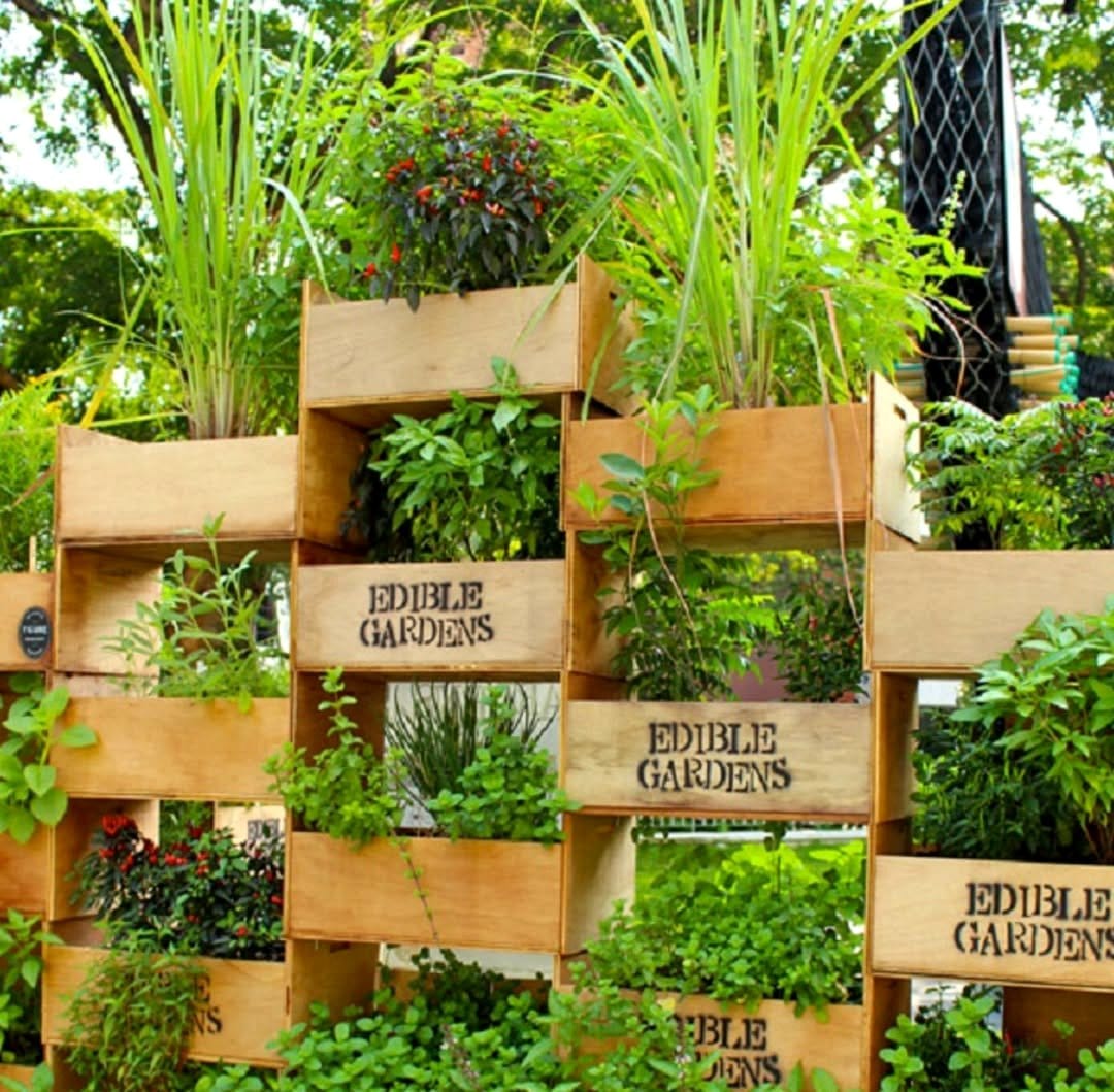 vertical garden wall with herbs
