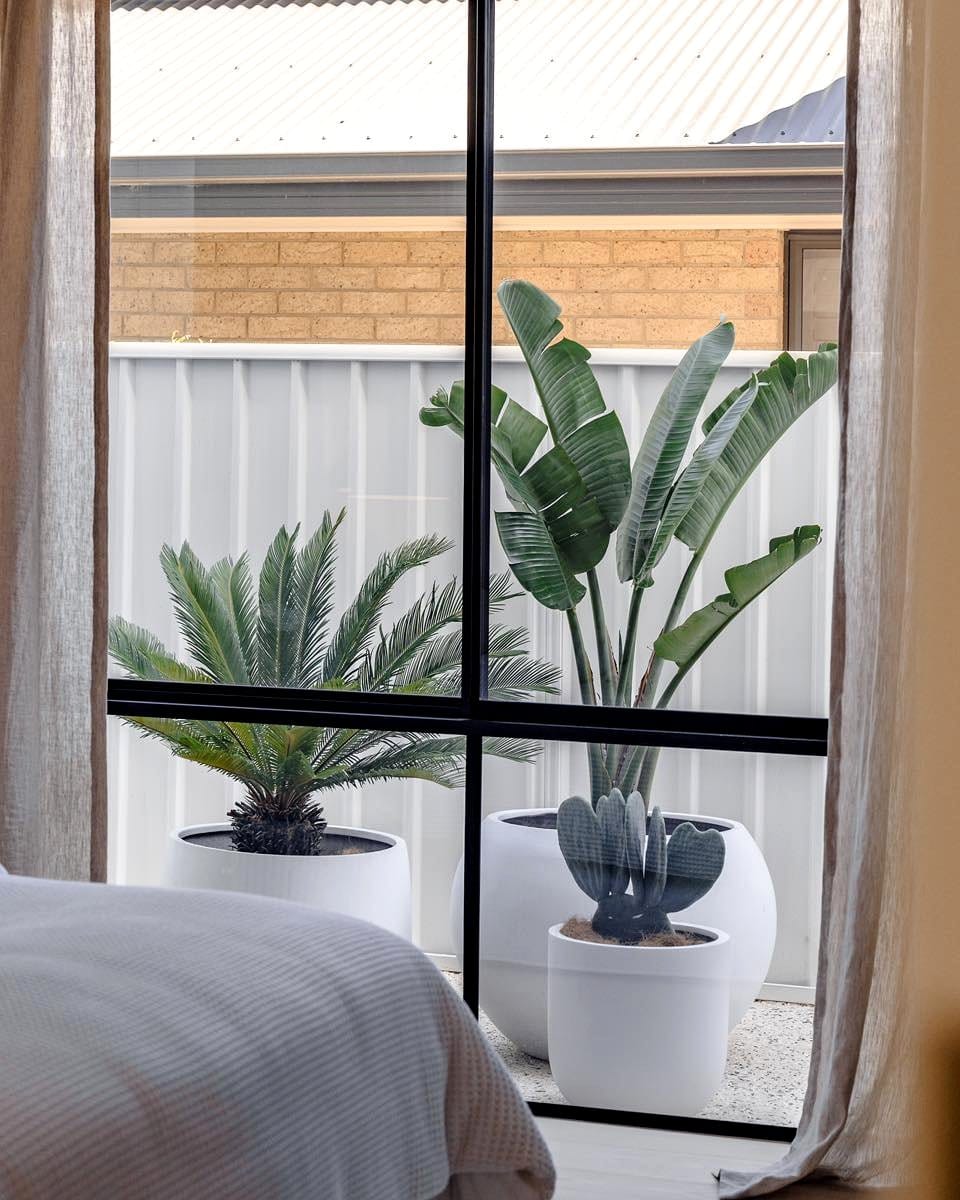 Large window with indoor plants