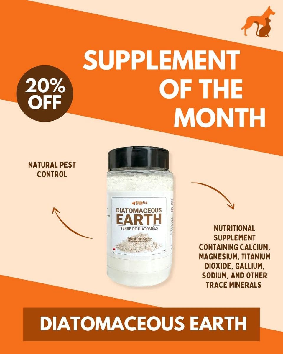 diatomaceous earth powder in a jar