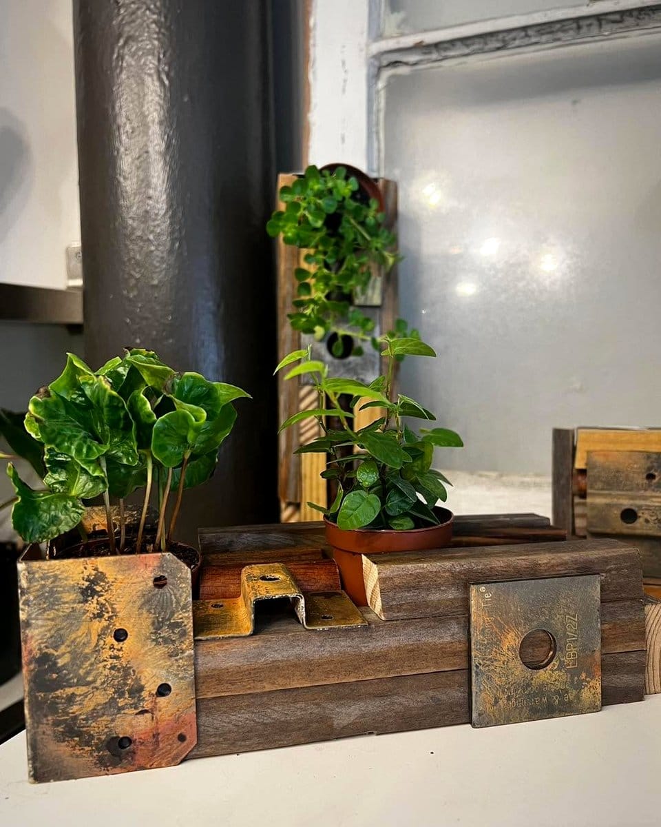 essential oil diffuser wall with wall-mounted test tubes