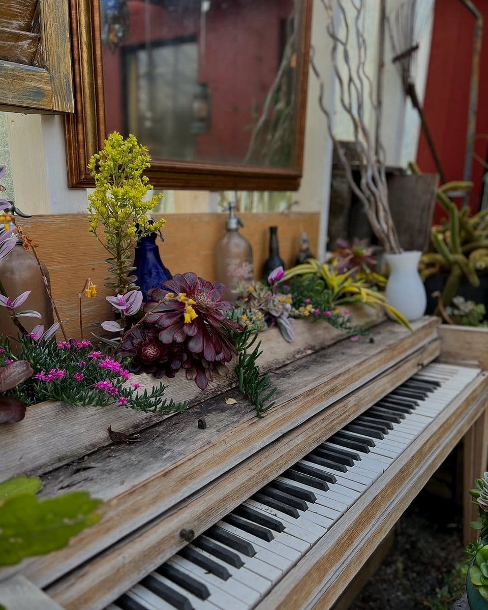 edible plants in piano planter