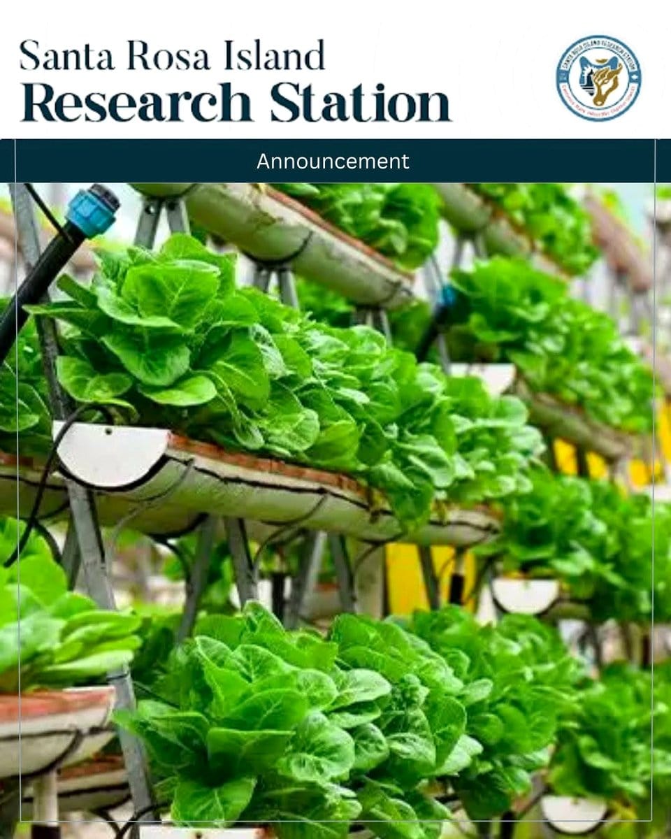 sustainable herb station on island