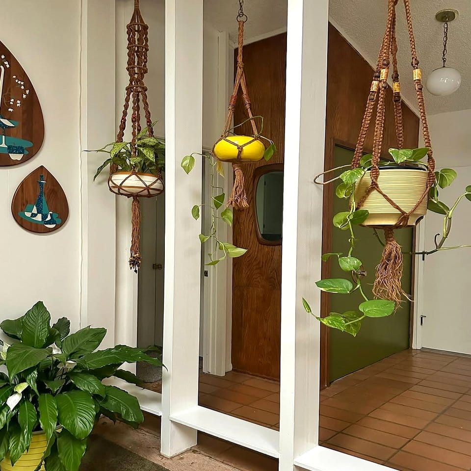 Home office with macramé plant hangers