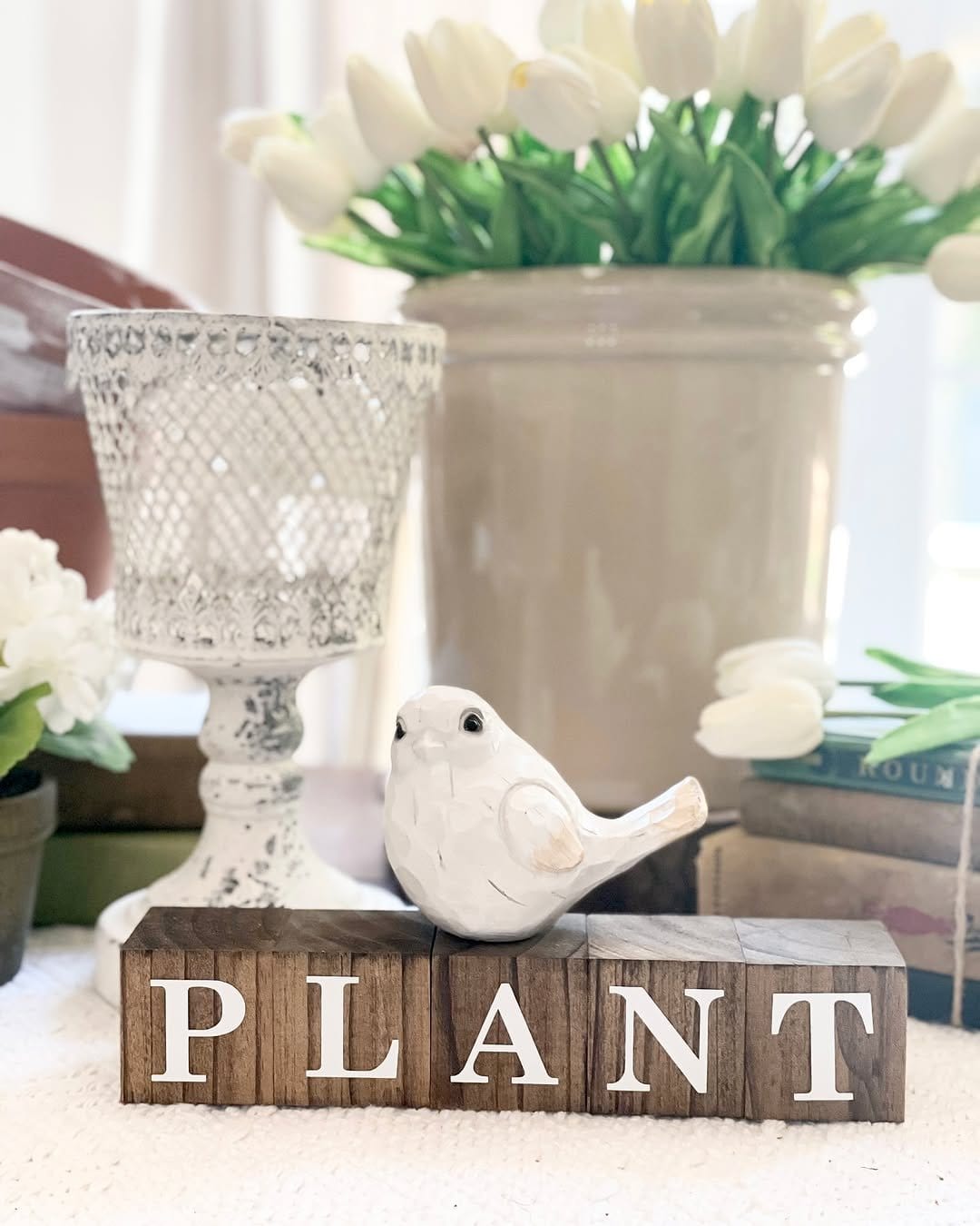 Cozy ferns in rustic wooden crates